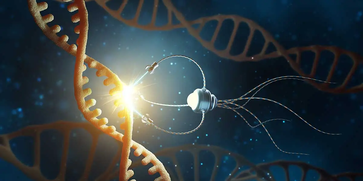 Nanomaterial & Nanocomposite Certification