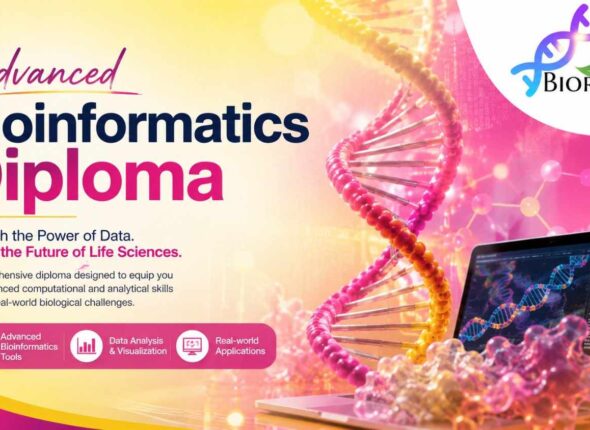 Bioinformatics diploma 6 months